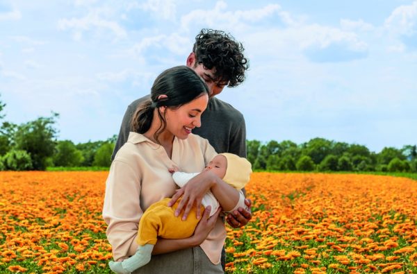 Τι είναι η Καλεντούλα;Οφέλη για το βρέφος και το παιδί